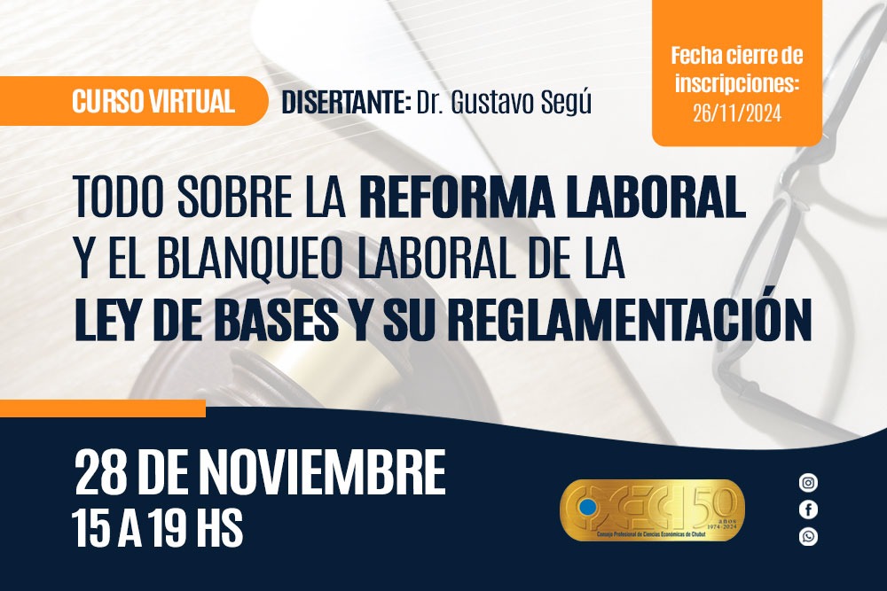 Reforma laboral y el blanqueo laboral de la Ley de Bases y su reglamentación