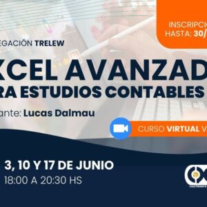 Excel Avanzado para Estudios Contables